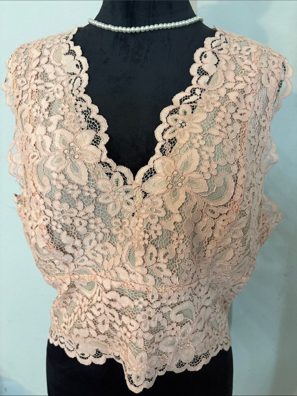 Express Blush Lace Crop Top, NWT, XL
